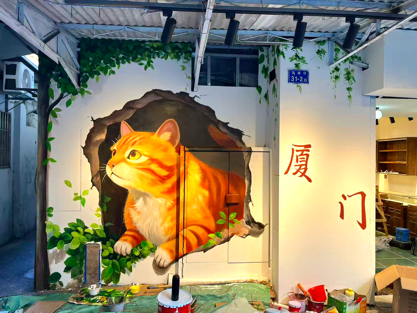 猫街新晋网红墙，胖橘可爱到心巴上